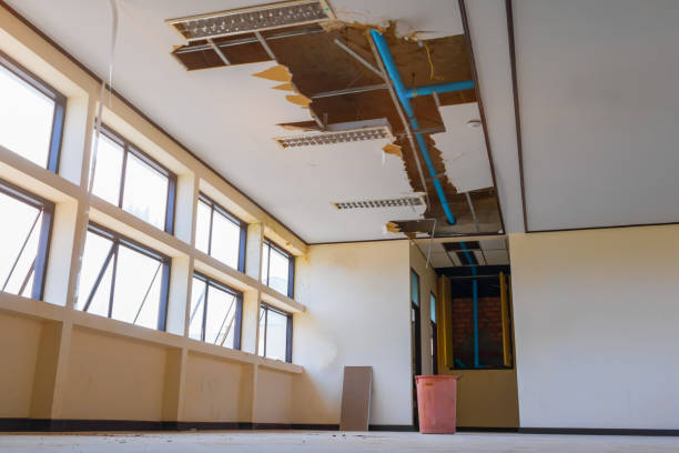 Best Water damage restoration specialists  in Covedale, OH