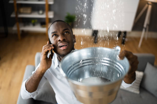 Best Water damage restoration experts  in Covedale, OH