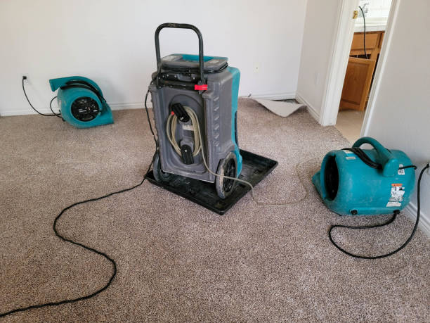 Best 24/7 water damage repair  in Covedale, OH