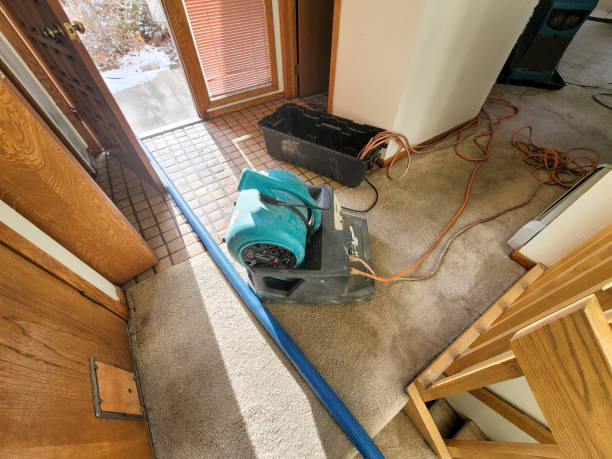 Best Fire Damage Restoration  in Covedale, OH