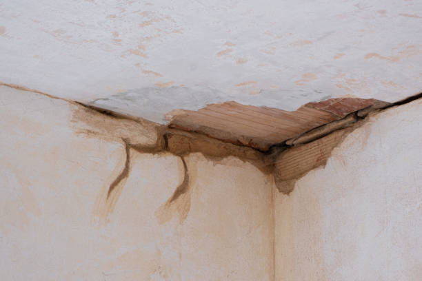 Best Sewage cleanup and water damage restoration  in Covedale, OH