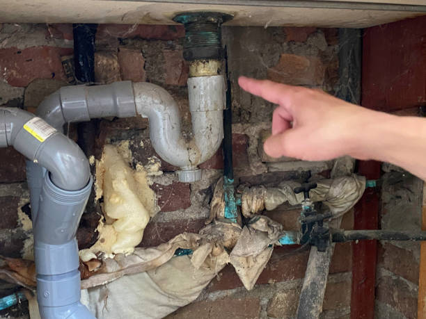 Best 24-hour water damage restoration  in Covedale, OH