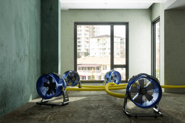 Best Carpet water damage restoration  in Covedale, OH