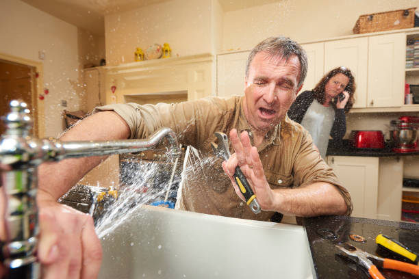Best Water damage cleanup near me  in Covedale, OH